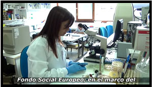 Becas y ayudas a la educación. Joven realizando practicas en laboratorio por las becas y ayudas concedidas