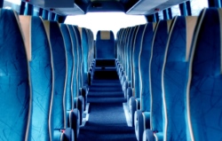 asientos de erbibus