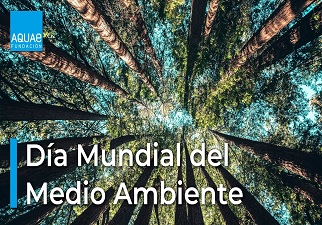 Banner del Día Mundial del Medio Ambiente 2022, de la Fundación AQUAE