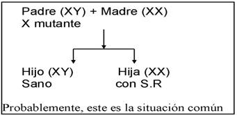 Gráfico con los genes de unos padres