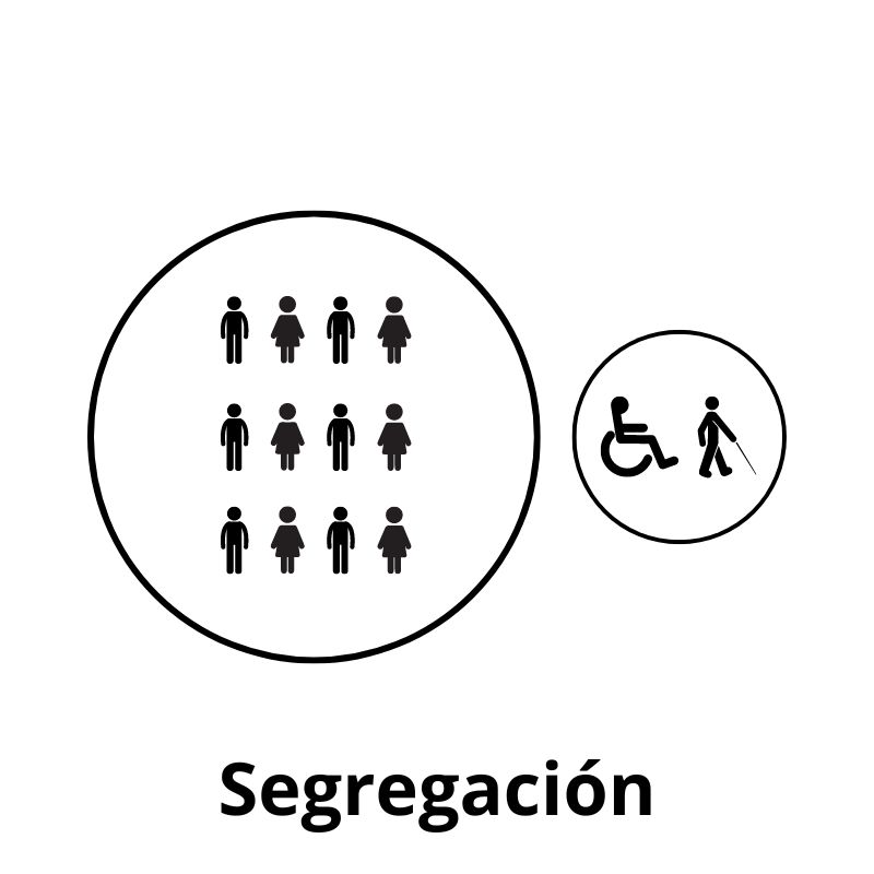 aparecen dos circulos en paralelo, en uno hay personas con una capacidades y en el otro circulo otras personas con otras capacidades. un claro ejemplo de segregación.