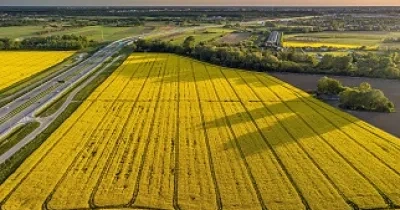 foto desde arriba de un campo