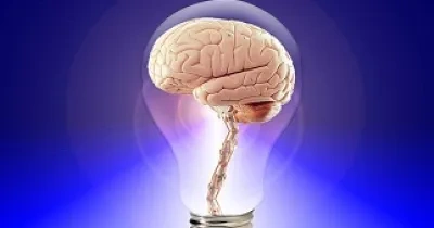 dibujo de un cerebro dentro de una bombilla