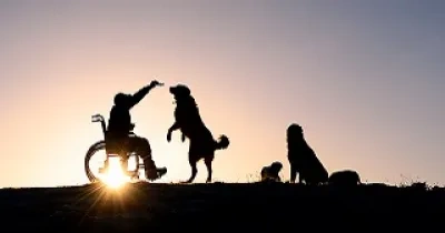 Un hombe en silla de ruedas jugando en un parque con su perro