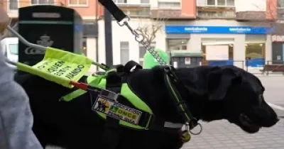Un perro guía "trabajando" para una persona ciega (Fuente: ONCE)