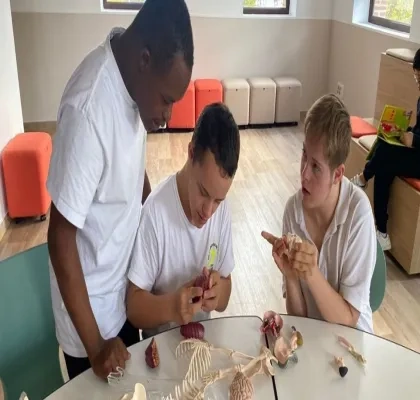 dos niños con síndrome de down junto a su profesor mientras colocan las piezas de un esqueleto de juguete para saber las partes del cuerpo humano