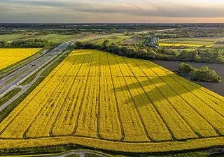 foto desde arriba de un campo