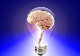dibujo de un cerebro dentro de una bombilla