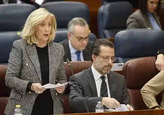 La consejera de Familia, Juventud y Política Social, Concepción Dancausa, durante su intervención en el Parlamento regional para anunciar la creación de esta nueva entidad pública (Fuente: Comunidad de Madrid)