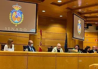 Luis Cayo Pérez Bueno, durante su comparecencia en el Senado
