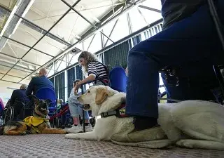 Momento del homenaje a las familias educadoras junto a sus perros (Fuente: Fundación ONCE del Perro Guía)