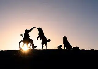 Un hombe en silla de ruedas jugando en un parque con su perro