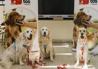 Un momento de la presentación de la primera sesión del Programa 'Momentos by KIWOKO’ en el Colegio Los Álamos de Vallecas de Madrid (Fuente: KIWOKO)