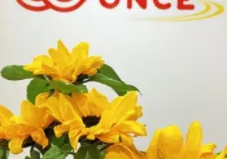 Banner de la campaña GIRASOLES SOLIDARIOS de Fundación ONCE