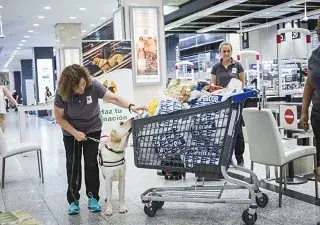 Exhibición de los perros guía de Fundación ONCE del Perro Guía (Fuente: El Corte Inglés)