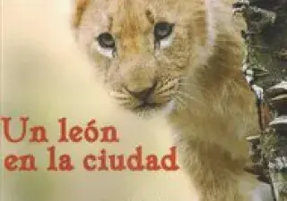 Portada del libro Un león en la ciudad